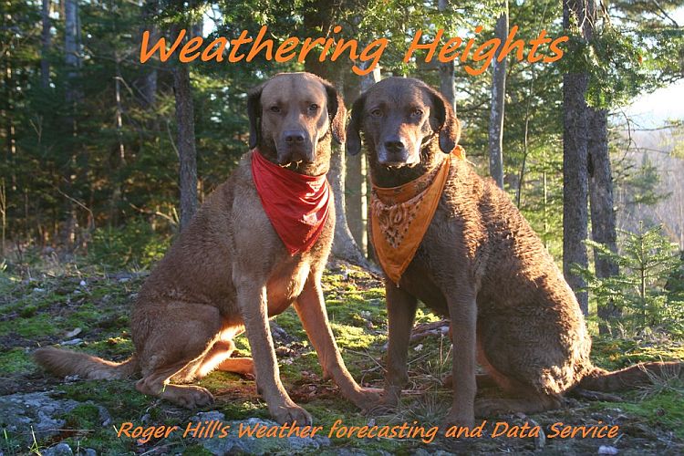 Weathering Heights - Brown Dogs in Deer Season